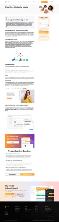 Tudjon meg többet az organikus közösségi médiáról. Szakértői magyarázatok segítségével mélyen megértheti.