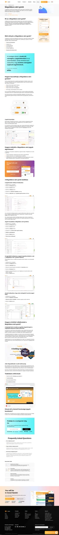 Priorizáljon specifikus vásárlói kérdéseket a megoldásra váró gombbal, amely azonnal egy ügynök oldalára rendezi a jegyeket, így ők priorizálni tudják őket a beérkezett idő és az SLA szerint.