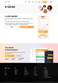 客户填写的调查表或接受的访谈被称为客户服务调查。客户服务调查能够帮助监测并追踪客户满意度。