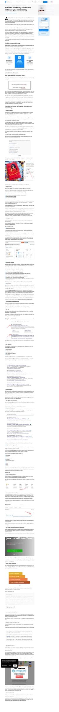 Would you like to learn the secrets of how to succeed with affiliate marketing? Read our article to find out.