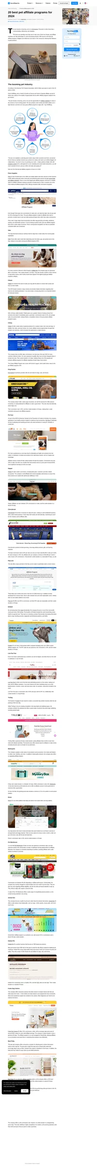 Interested combining your affiliate marketing with your love for man's best friend? Check here to find out the top pet affiliate programs of 2024.